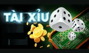 Tài Xỉu Nhà Cái WINVN